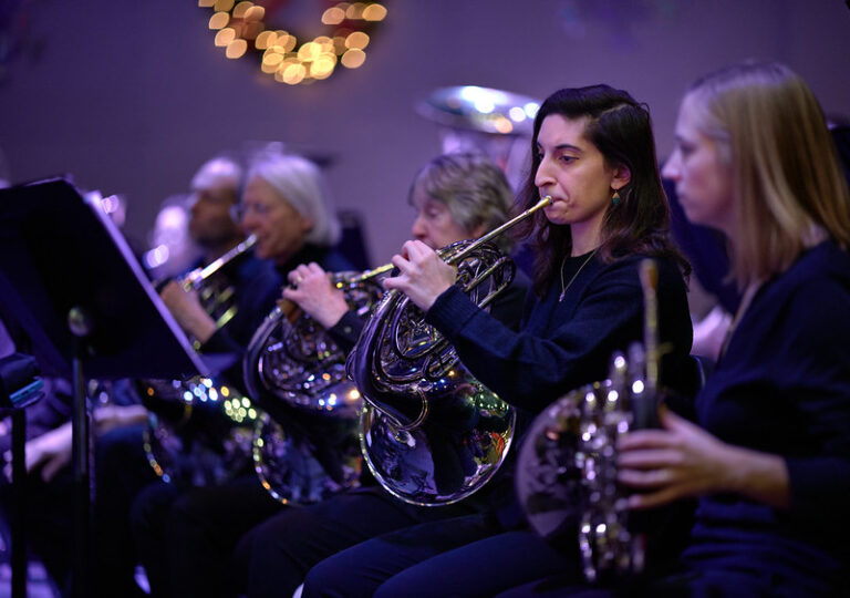 A row of musicians are playing the French Horn on a stage with other musicians in the background. They are in concert black attire and are seated at an angle facing towards the left of the image. A woman with long dark hair is the focal point, seated off center to the right hand side of the frame. The background is a moody purple hue and blurry golden lights hang in the background.