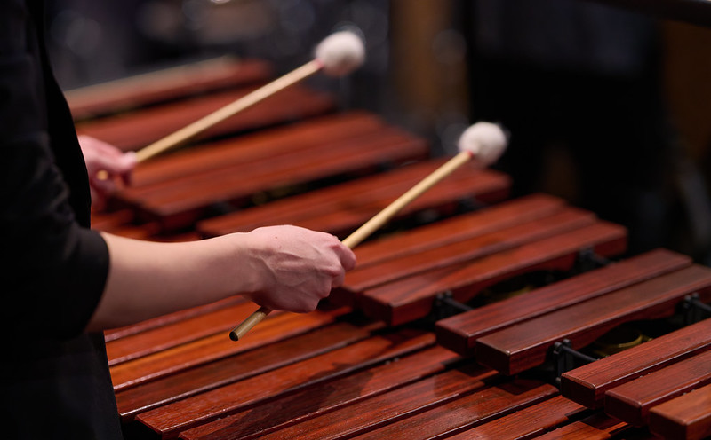 A percussionist plays the marimba. The warm wood tones of the marimba fill the frame from the upper left to the bottom right. The musician's hands enter the frame from the left and are holding mallets with fuzzy heads suspended above the bars ready to play.